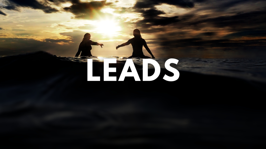 Leads Mad Pelican Lead Generation Services