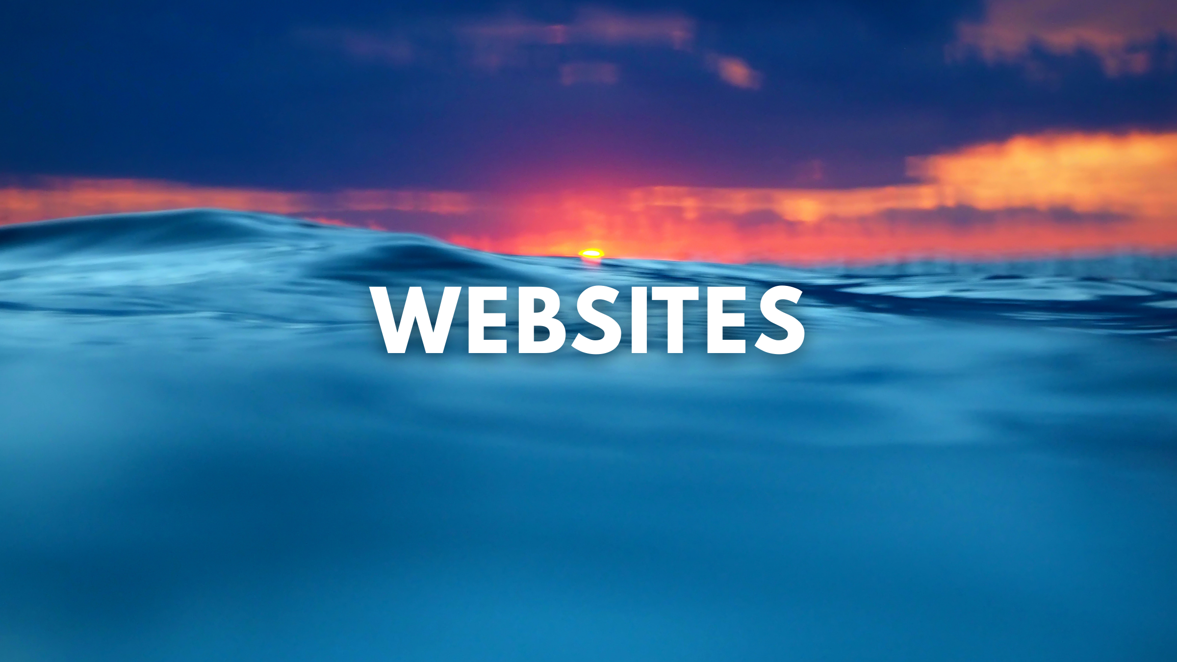 Websites Mad Pelican Website Services