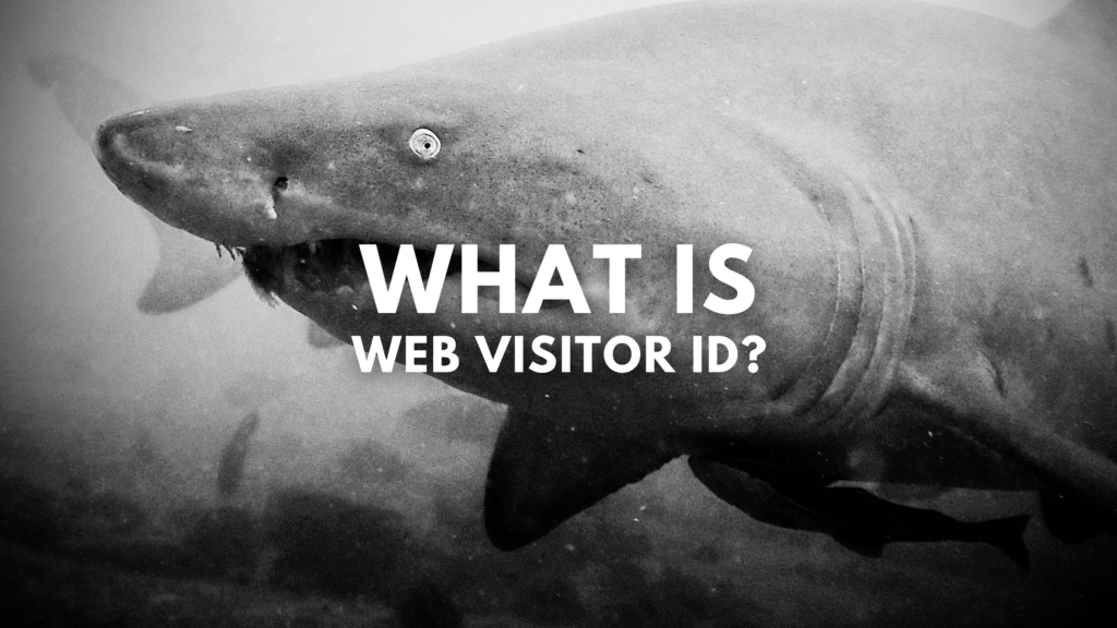Turn web visitors into leads