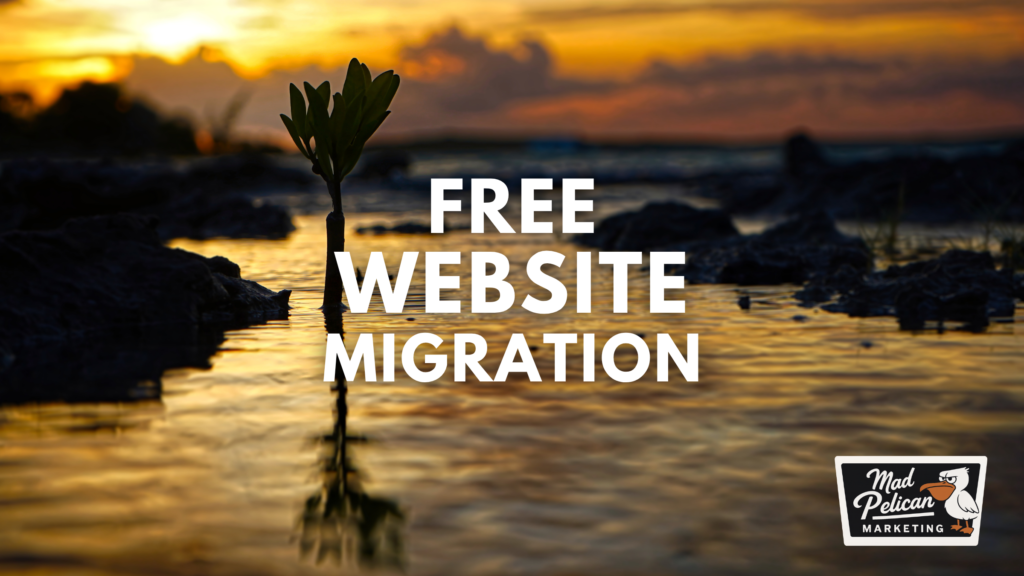 Free Website Migration
