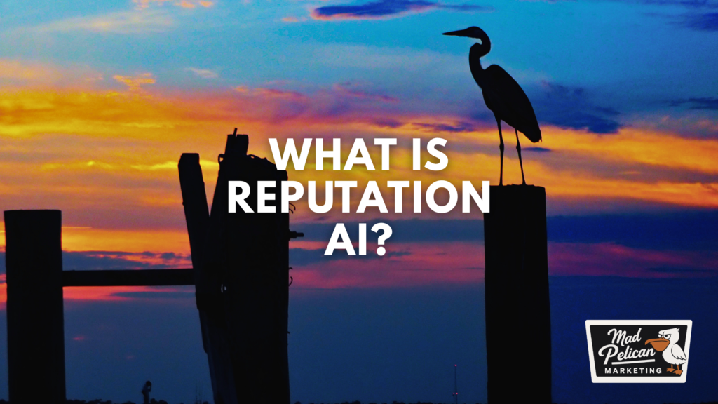 What is Reputation AI What is Reputation AI