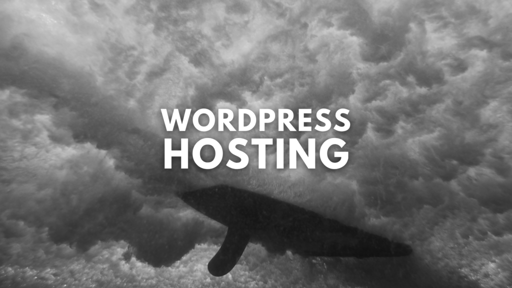 WordPress Hosting at Mad Pelican